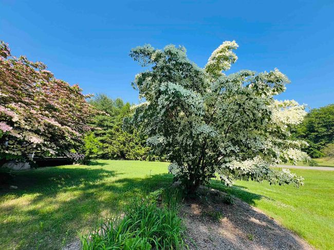 112 Breezy Acres Dr, House other with 4 bedrooms, 2 bathrooms and null parking in Vernon VT | Image 41