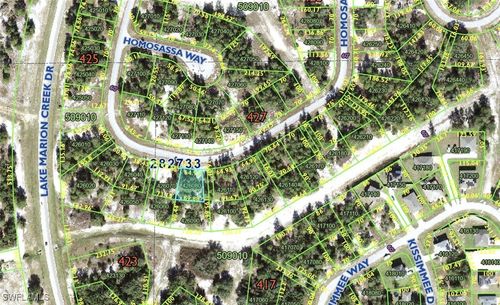 1348 Homosassa Dr, KISSIMMEE, FL, 34759 | Card Image
