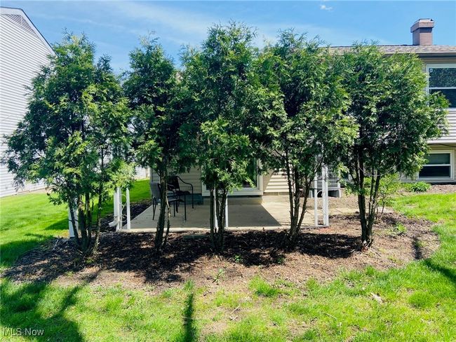 56 - 8870 Holly Ln, Condo with 3 bedrooms, 2 bathrooms and null parking in Olmsted Falls OH | Image 5