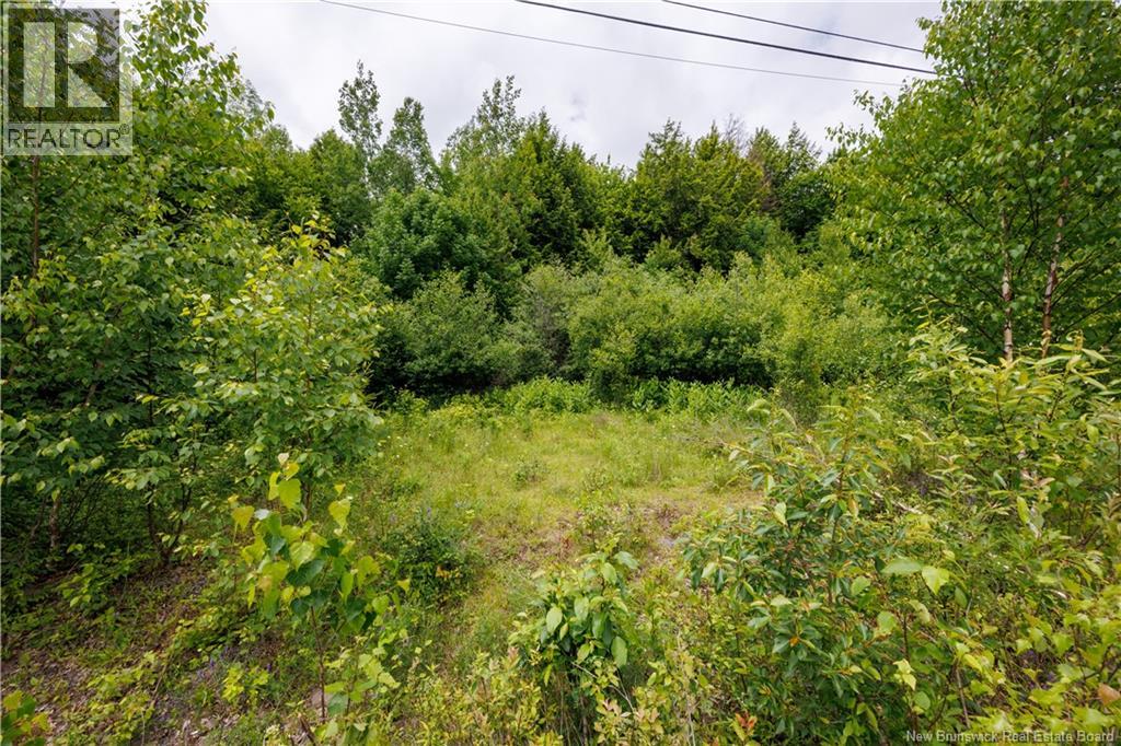 Land in Richibucto Road 5