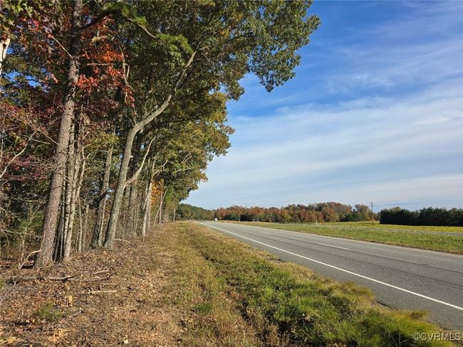 View of road | Image 6