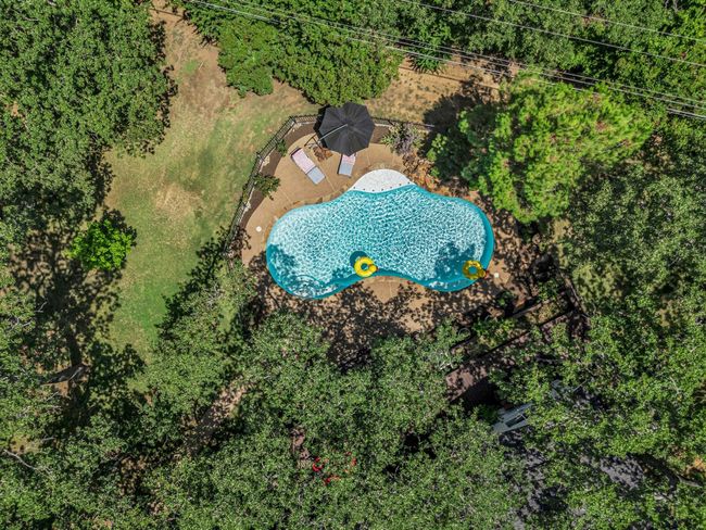 Your secluded oasis | Image 35