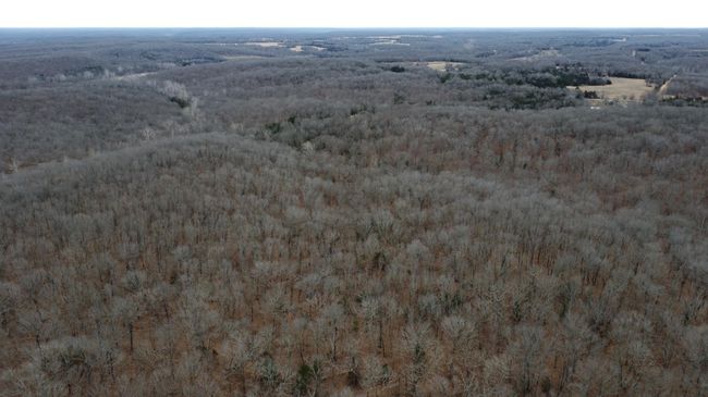 995 County Road 427, Home with 0 bedrooms, 0 bathrooms and null parking in CROSS TIMBERS MO | Image 15