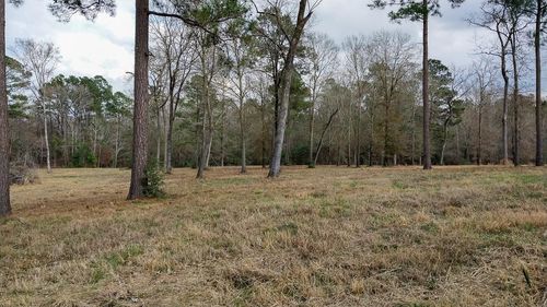 TBD Noah Ct, Huntsville, TX, 77320 | Card Image