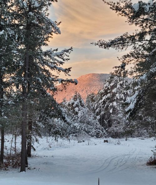 97 Pig Street, Brownfield, ME, 04010 | Card Image