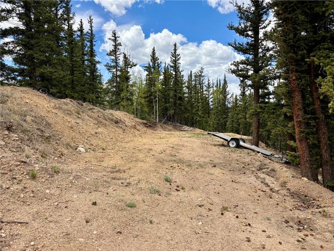 View of local wilderness | Image 27