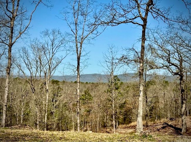165 Mirage Ln, House other with 1 bedrooms, 1 bathrooms and null parking in Hatfield AR | Image 18
