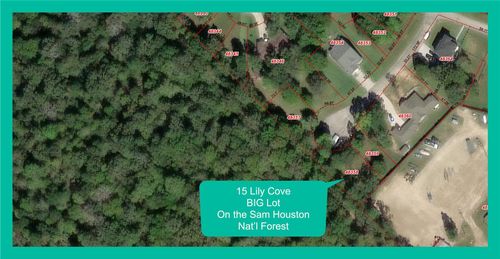 15 Lily Cv, Huntsville, TX, 77340-2339 | Card Image