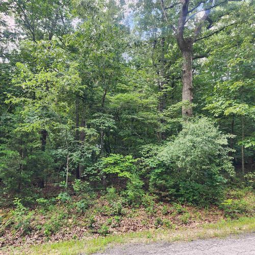 L-42, B-1 Saskatchewan Drive, Cherokee Village, AR, 72529 | Card Image