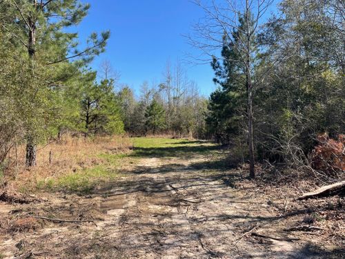 TBD Ten Mile Creek Rd, Foxworth, MS, 39483 | Card Image