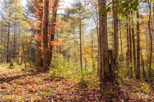 0 Laurel Creek Rd Ne, Home with 0 bedrooms, 0 bathrooms and null parking in Pilot VA | Image 22
