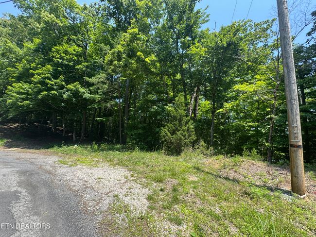 44 Ridgeland Dr, Home with 0 bedrooms, 0 bathrooms and null parking in Sharps Chapel TN | Image 9