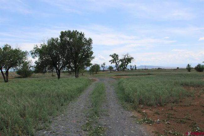 14433 2600 Rd, Home with 0 bedrooms, 0 bathrooms and null parking in Cedaredge CO | Image 43