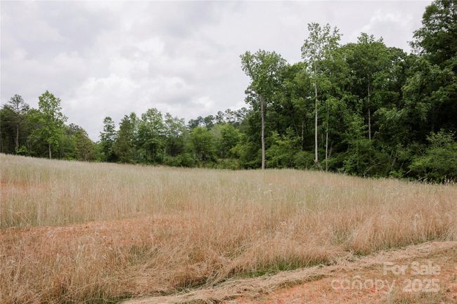 Lot 12 American Bittern Way, Home with 0 bedrooms, 0 bathrooms and null parking in Clover SC | Image 8