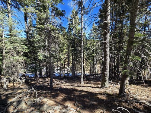 142 Simmons Rd, Rye, CO, 81069 | Card Image