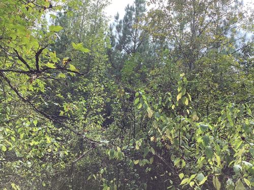 2892 Highway 19 N, Prescott, AR, 71857-7511 | Card Image