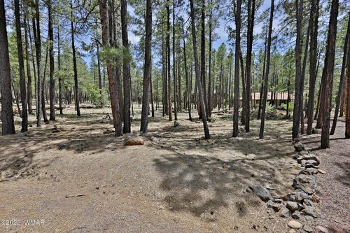 2682 Brahma Cir, Pinetop, AZ, 85935-8345 | Card Image