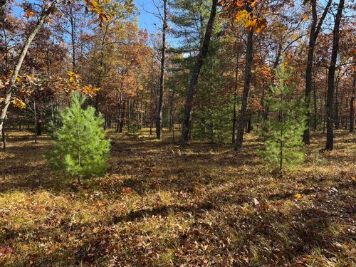 Parcel 7 County Line Road, Free Soil, MI, 49411 | Card Image