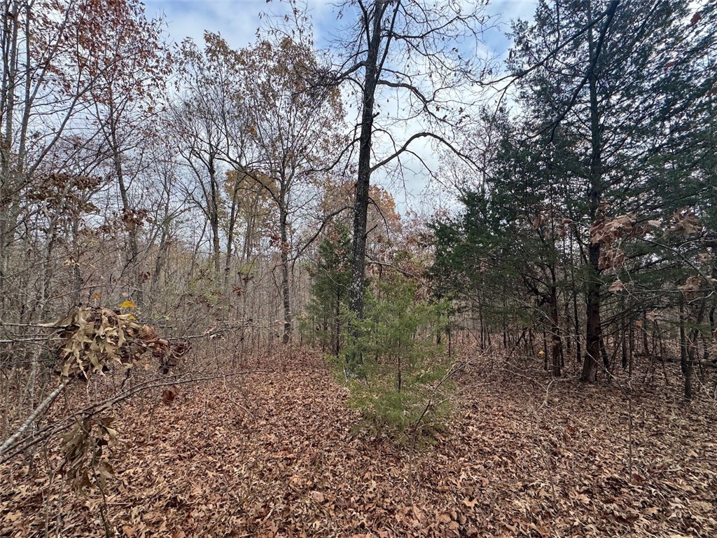 Land in Fayetteville 5