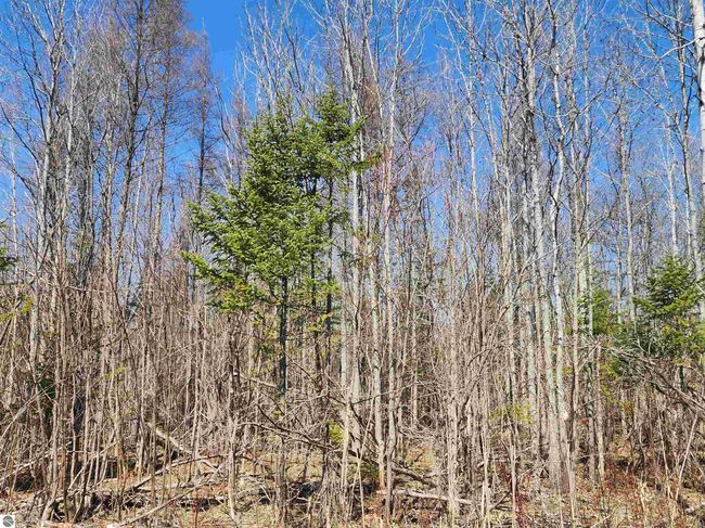 000 Old M 66 Nw, Home with 0 bedrooms, 0 bathrooms and null parking in Kalkaska MI | Image 14