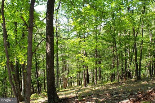 38 Williamsport Rd, Burlington, WV, 26710 | Card Image