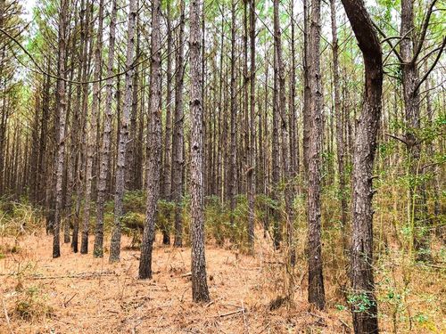 12 County Road 4415, Spurger, TX, 77660 | Card Image