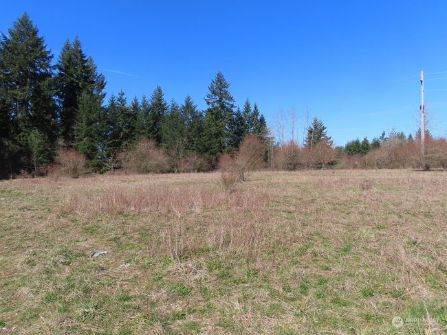 B - 107 Avery Rd W, Home with 0 bedrooms, 0 bathrooms and null parking in Napavine WA | Image 23