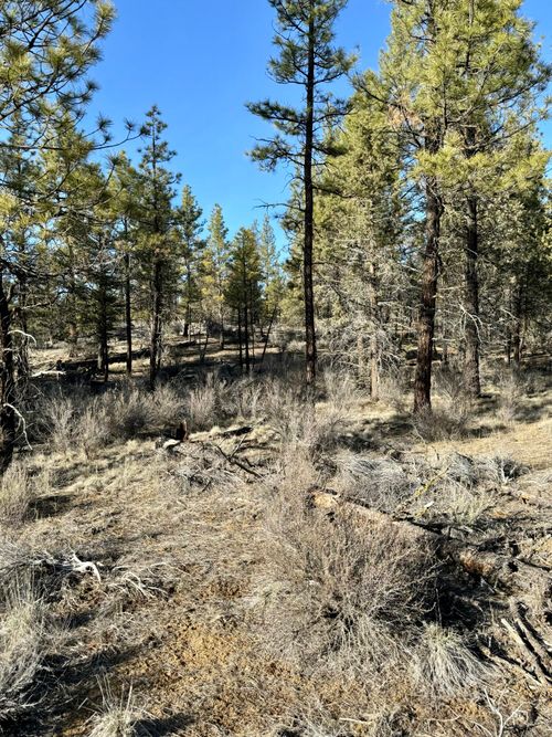 3000-0 Tepee Ln, Chiloquin, OR, 97624 | Card Image