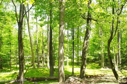 332 Shingle Mill Dr, DRUMS, PA, 18222-1213 | Card Image