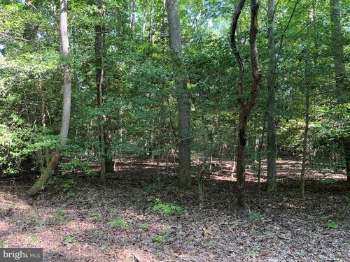 Lot 126 Lonesome Pine Trl, Lancaster, VA, 22503-3719 | Card Image