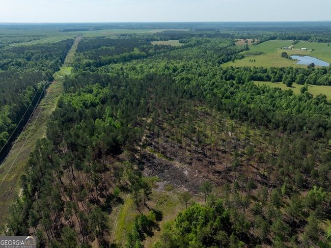 6053 Sun Hill Grange Rd, Home with 0 bedrooms, 0 bathrooms and null parking in Davisboro GA | Image 115