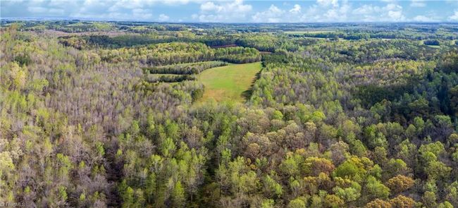 1468 - 1460 Stadler Rd, Home with 0 bedrooms, 0 bathrooms and null parking in Elon NC | Image 16
