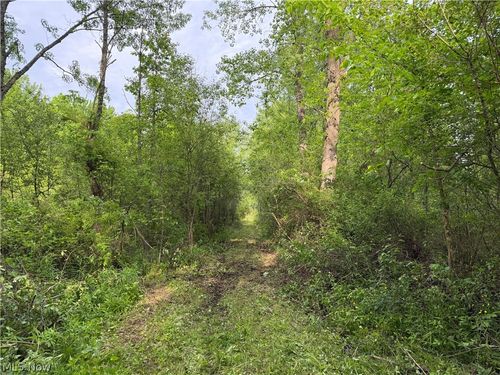 0 Dayton Rd, Madison, OH, 44057 | Card Image