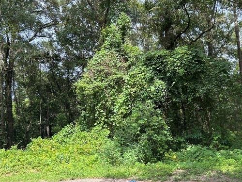 0 Murray Heights Drive, Irvington, AL, 36544 | Card Image