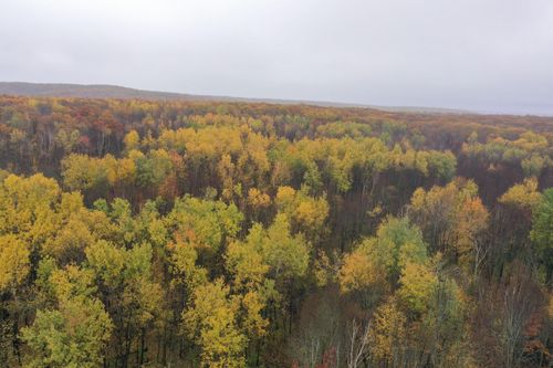 16 County Road W, Weyerhaeuser, WI, 54895 | Card Image