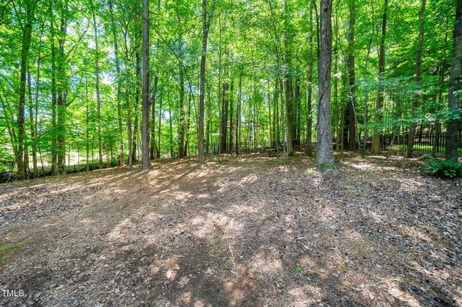 Backyard | Image 34