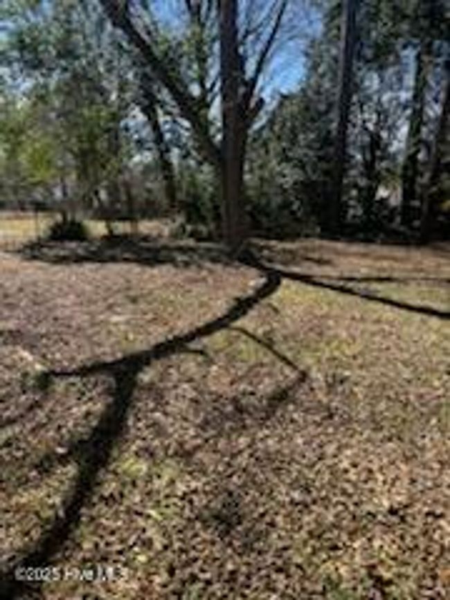 726 Clark St, House other with 3 bedrooms, 2 bathrooms and null parking in Rocky Mount NC | Image 18