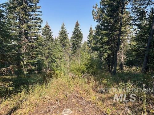 TBD Radar Rd, CottonWood, ID, 83522 | Card Image