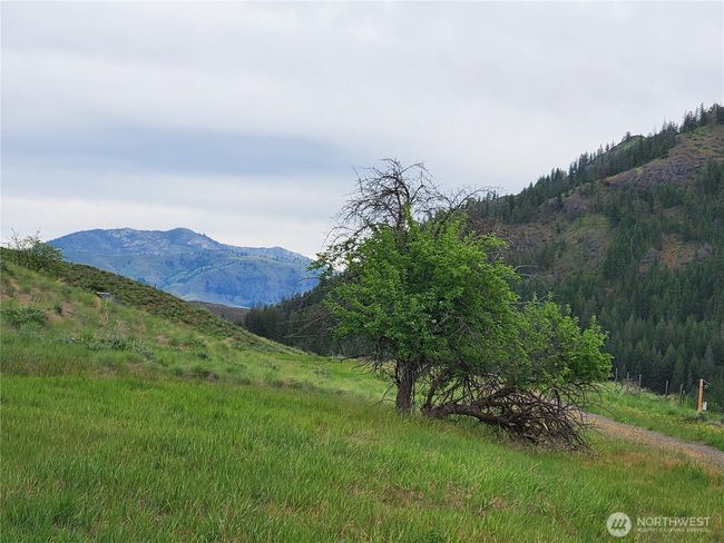 7.33 Acres Twisp off Twisp River Road is a great location only about 1.5 Miles from everything Twisp has to offer! | Image 5