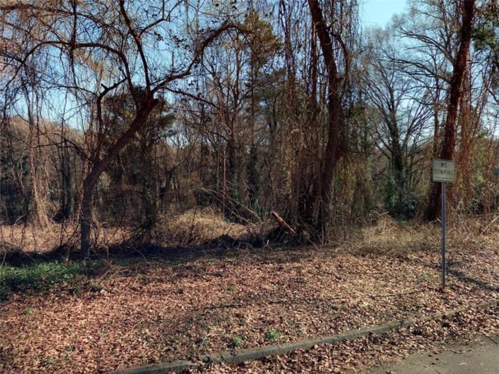Land in Scottdale 2