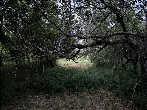 905 Santa Cruz Ln, Corpus Christi, TX, 78415-4485 | Card Image