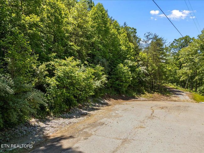 6 Shanghai Landing Ln, Home with 0 bedrooms, 0 bathrooms and null parking in La Follette TN | Image 4