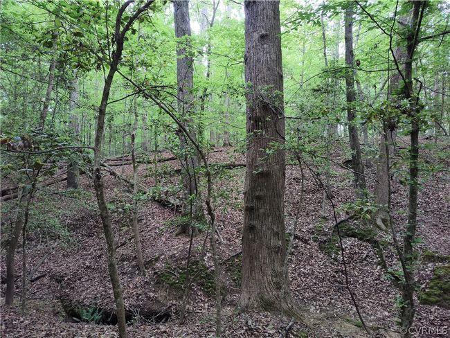 0 Old Church St, Home with 0 bedrooms, 0 bathrooms and null parking in Claremont VA | Image 31