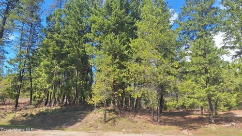 NNA Parkland Dr, Blanchard, ID, 83804 | Card Image