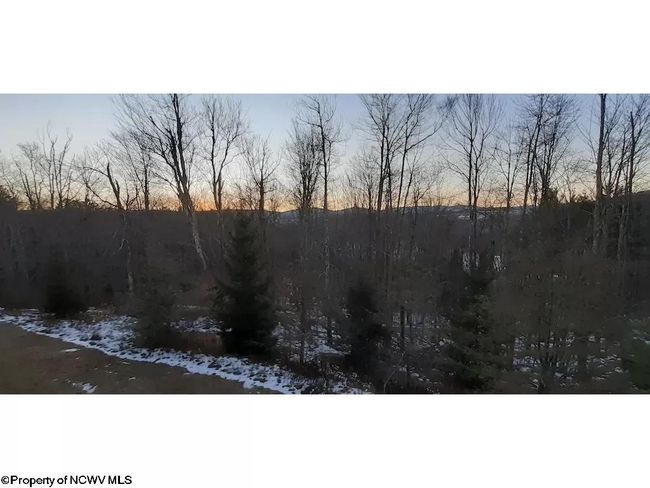 1113 - 1113 Beaver Ridge Rd, Condo with 1 bedrooms, 1 bathrooms and 2 parking in Davis WV | Image 7