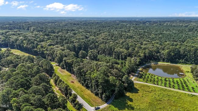 4-web-or-mls-DJI_20250714102239_0268_D | Image 4