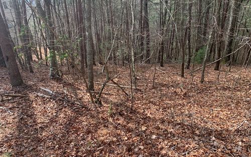 LOT20 Wolf Ridge Ln, Murphy, NC, 28906 | Card Image