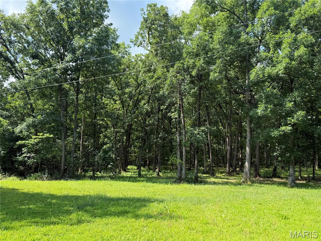 Land in Monroe City 2