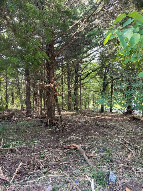 141 Eastern Hills Dr, Mabank, TX, 75156-9617 | Card Image