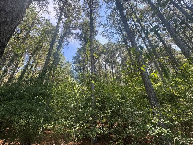 3 Rogers Rd, Home with 0 bedrooms, 0 bathrooms and null parking in Pendleton SC | Image 12